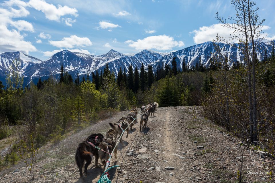 Yukon Dogs and Gold - Frequently Asked Questions