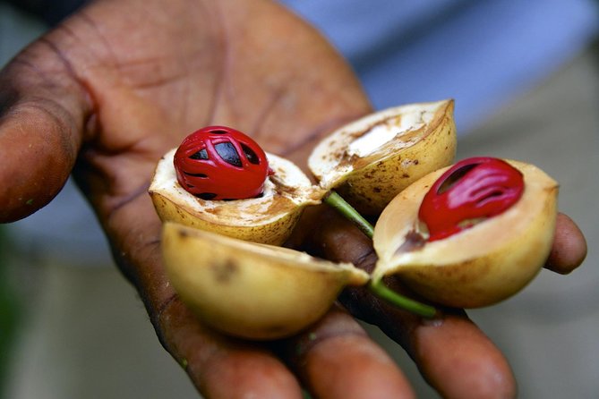 Zanzibar Spice Tour - Sensory-Rich Experience