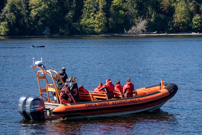 Zodiac Marine Wildlife Excursion From Victoria - Weather and Operating Conditions