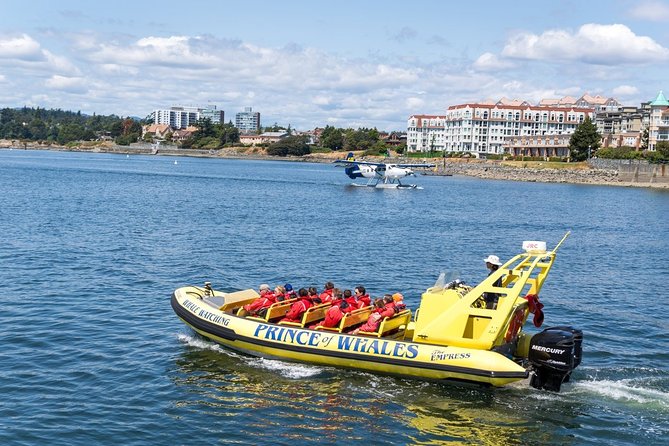 Zodiac Whale Watching Adventure From Victoria - Meeting and Pickup