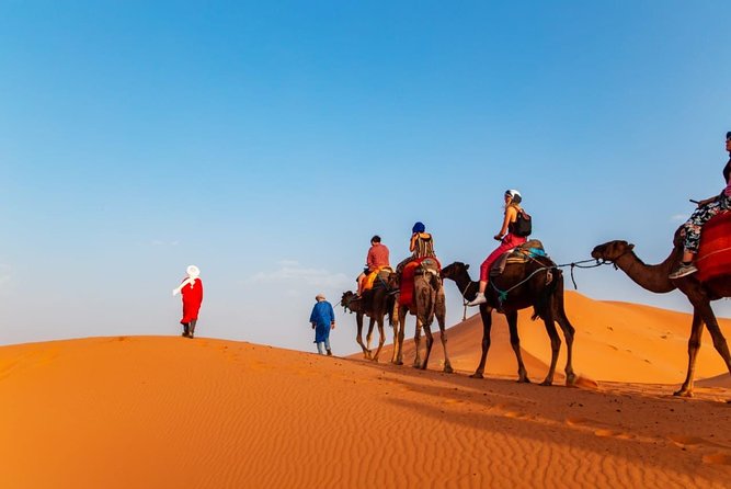 8-Day Tour From Casablanca to the Sahara Desert - Key Points