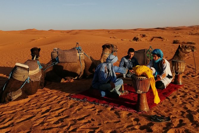 1 Night Camel Trekking Tour in Merzouga Desert Camp - Meeting and Pickup Details