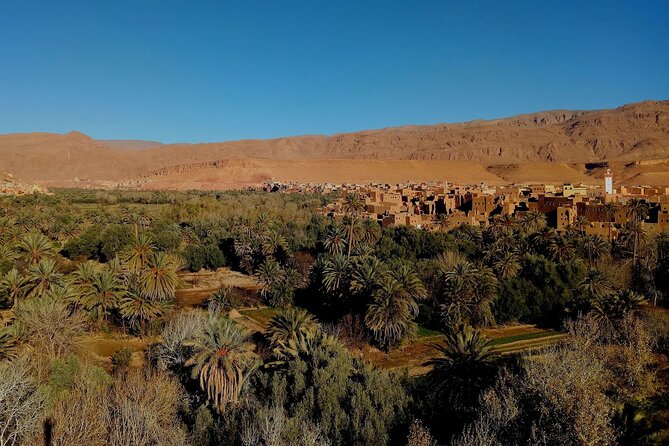 2-Days Desert Zagora & Kasbah Ait Benhaddou Tour. - Overnight Desert Experience