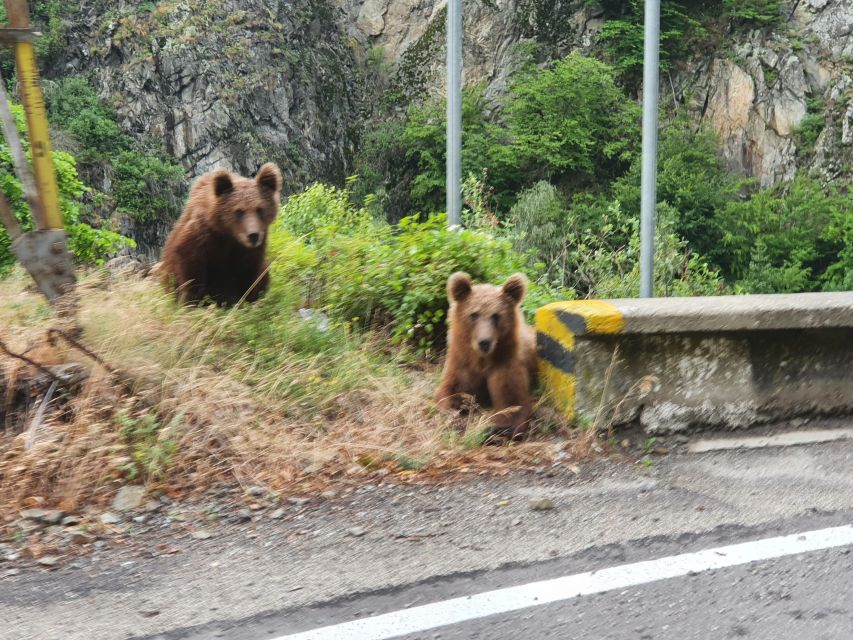 2 Days Transfagarasan Highway Private Tour - Languages Offered