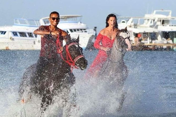 2 Hours Horse Riding 1H on the Sea and 1H in Desert From Hurghada - Safety Measures