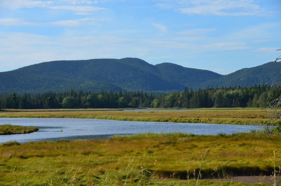 3 Hour Private Tour: Insiders Tour of Acadia National Park - Price and Availability