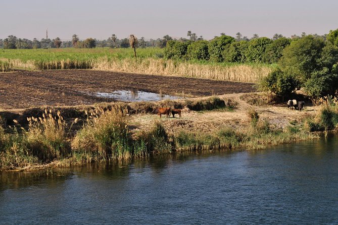 4 Nights Private Guided River Nile Cruise From Luxor to Aswan - Contact and Booking Information