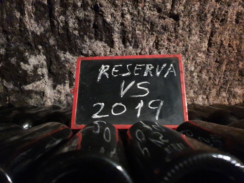 4 Wineries, Comprehensive Ribera Del Duero Winetour - Who the Tour Is Suited for