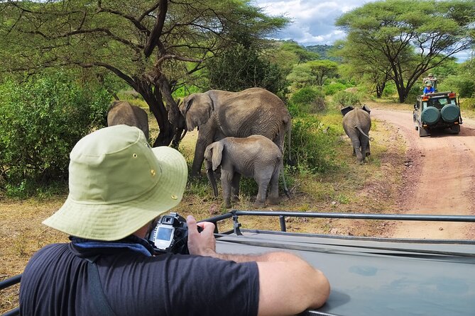 5 Days Safari, Hiking & Culture (Serengeti & Kilimanjaro) - About the Tour Operator