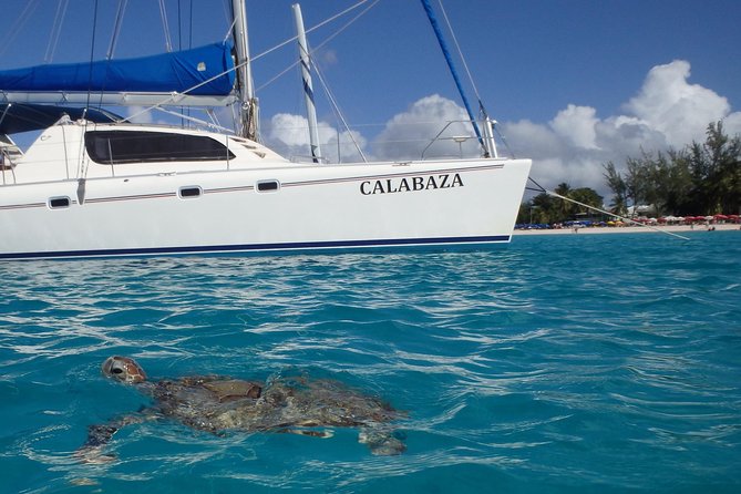 5-Hour Small-Group Catamaran Cruise From Bridgetown With Lunch - Reviews and Ratings