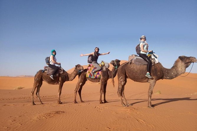 8-Day Tour From Casablanca to the Sahara Desert - Exploring Historical and Natural Sites