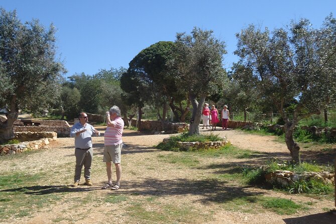 Algarve Private Tour With Typical Lunch - Customer Reviews