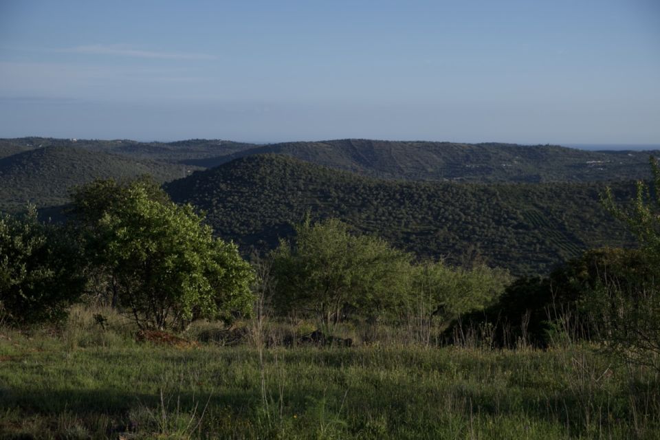 Algarve : the Hinterland in a Volvo XC90 SUV - Panoramic Views and Aperitif