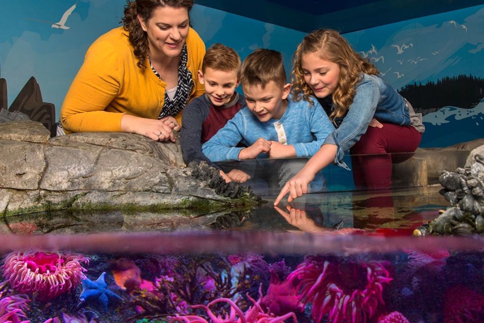 American Dream: SEA LIFE® Aquarium Entry Ticket - Parking Details