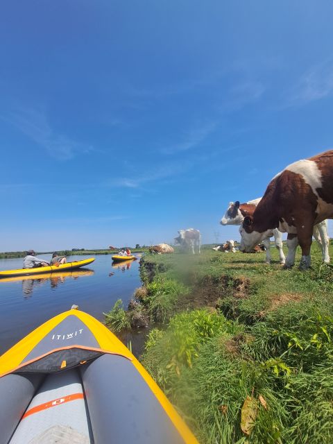 Amsterdam: Countryside Bike and Kayak Guided Tour - Pricing and Booking