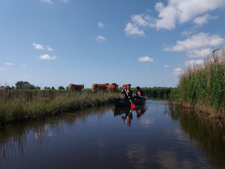 Amsterdam: Dutch Countryside Sunset Canoe Tour - What to Bring