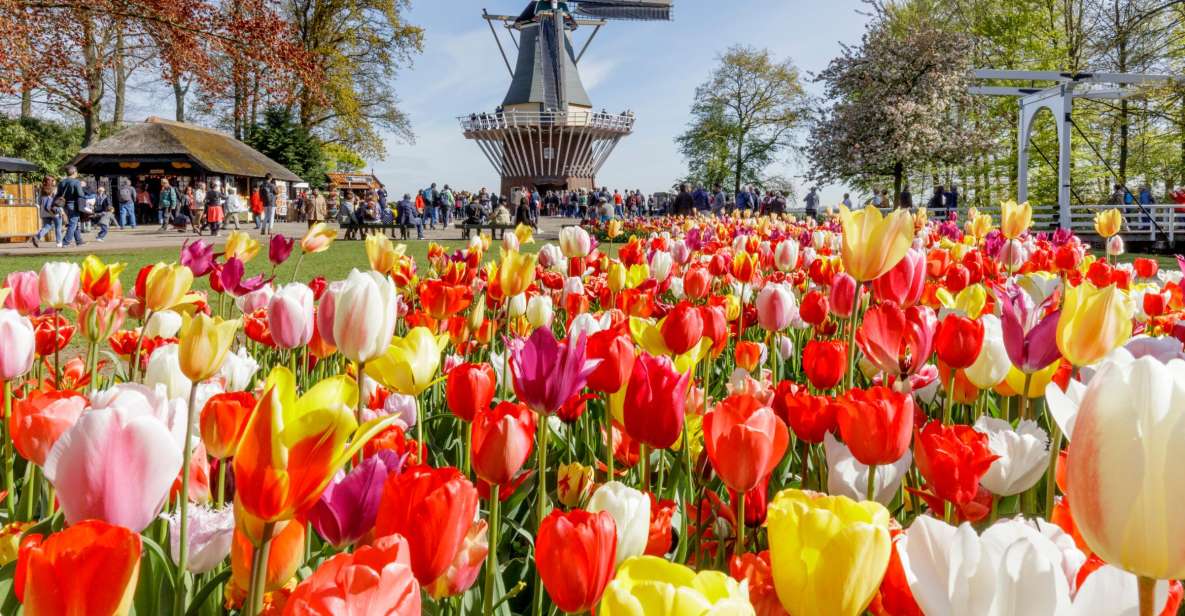 Amsterdam: Keukenhof and Zaanse Schans Live Guided Day Tour - Transportation and Logistics