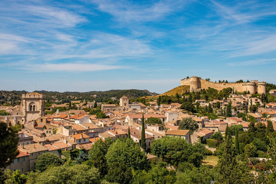 Avignon Private Guided Tour and Wine Tastings From Marseille - Flexible Booking and Cancellation Policy