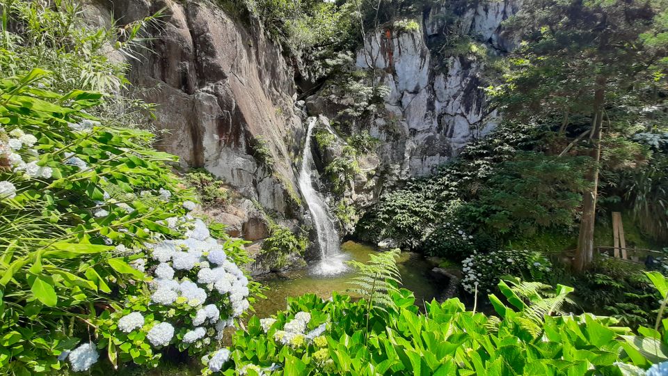 Azores: São Miguel Hike and Snorkeling With a Local - Snorkeling Adventure