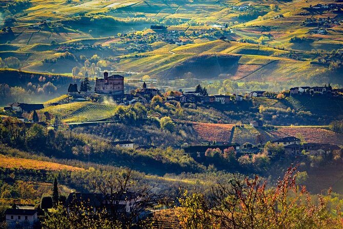 Barolo Wine and Food Tasting at Piedmont Region Winery - Booking and Cancellation Policies