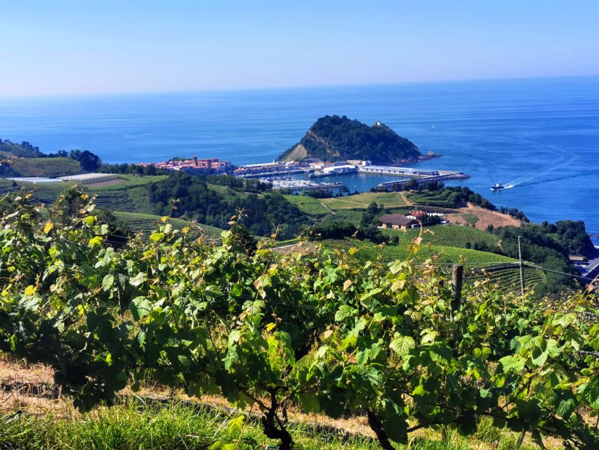 Basque Country: Mountains, Ocean, & Sanctuary of Loyola Trip - Local Culinary Delights