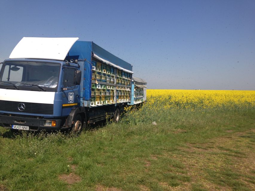 Bees in Romania - Private Beekeeping Lesson and Local Lunch - Health and Accessibility Considerations