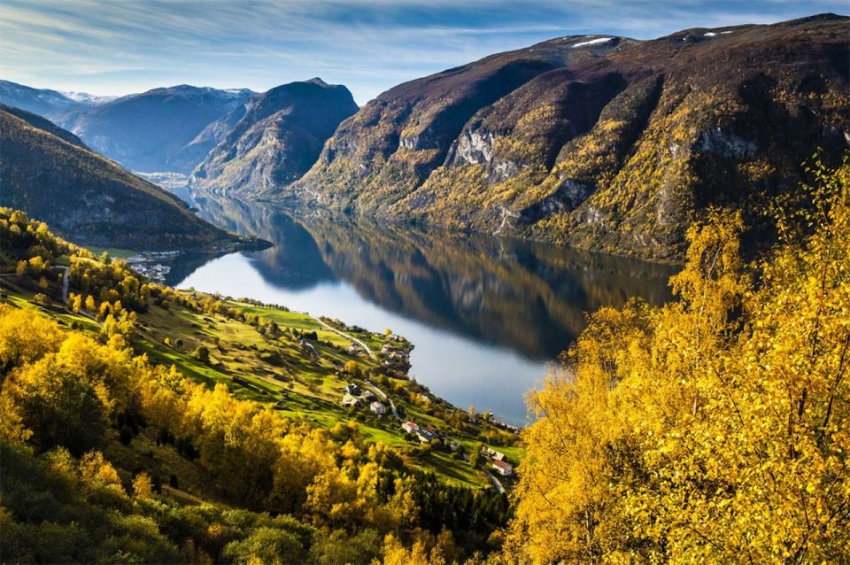 Bergen: Nærøyfjord Cruise and Flåm Railway to Oslo - Additional Details