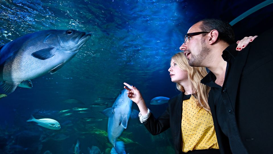 Berlin: Combi Ticket SEA LIFE & Berlin Dungeon - Save With the Combo Ticket