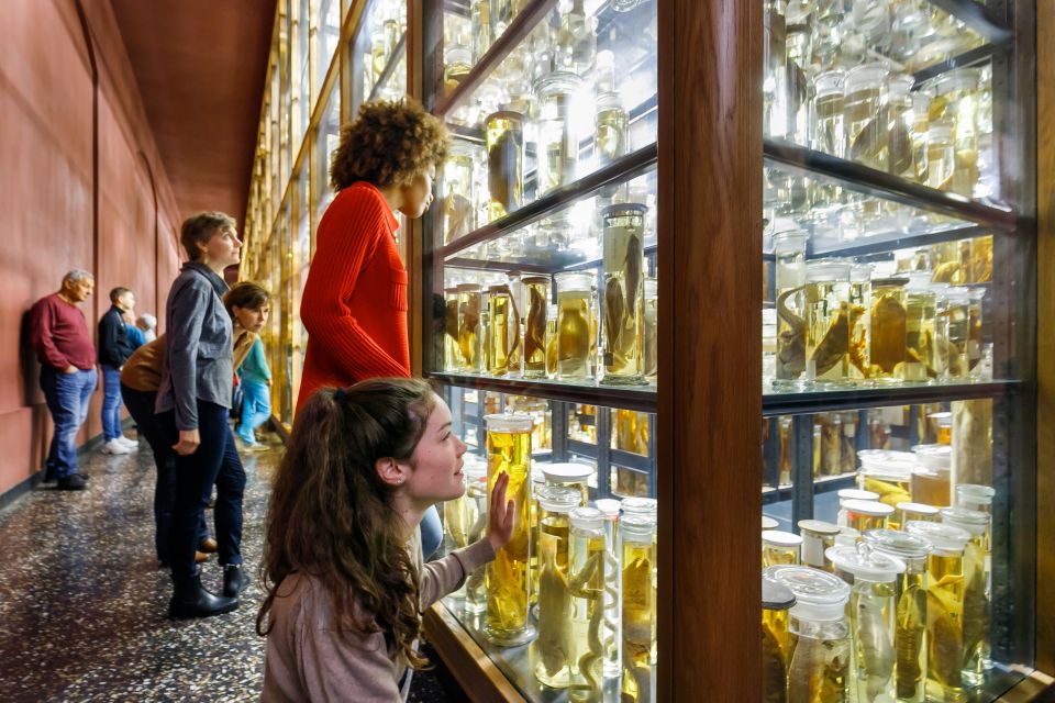 Berlin: Natural History Museum Entrance Ticket - Ticket Purchasing Information