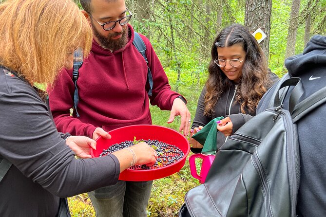 Berry Picking in a National Park - Reviews and Ratings