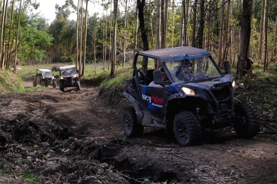 Braga: Off-Road Buggy Tour - Tour Highlights