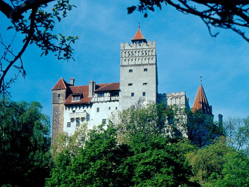 Bucharest: Peles Castle, Draculas Castle and Brasov Tour - Guide Languages