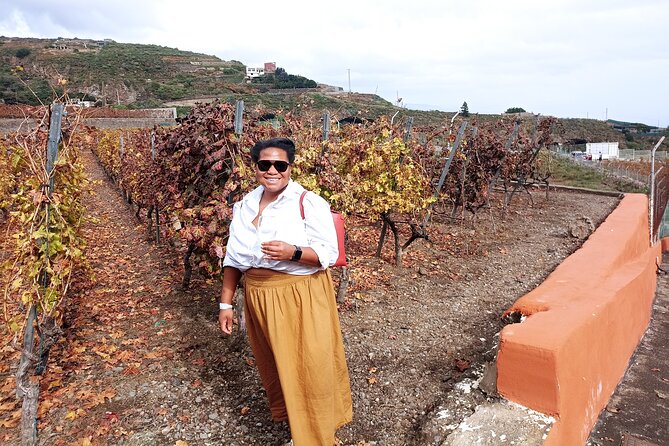 Canarian Wine Tasting Private Full-Day Tour and Aloe Vera Farm - Aloe Vera Farm