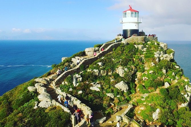 Cape Point Penguin Tour - Traveler Suitability