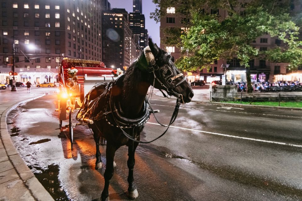 Central Park, Rockefeller & Times Carriage Ride (4 Adults) - Favorable Weather Conditions