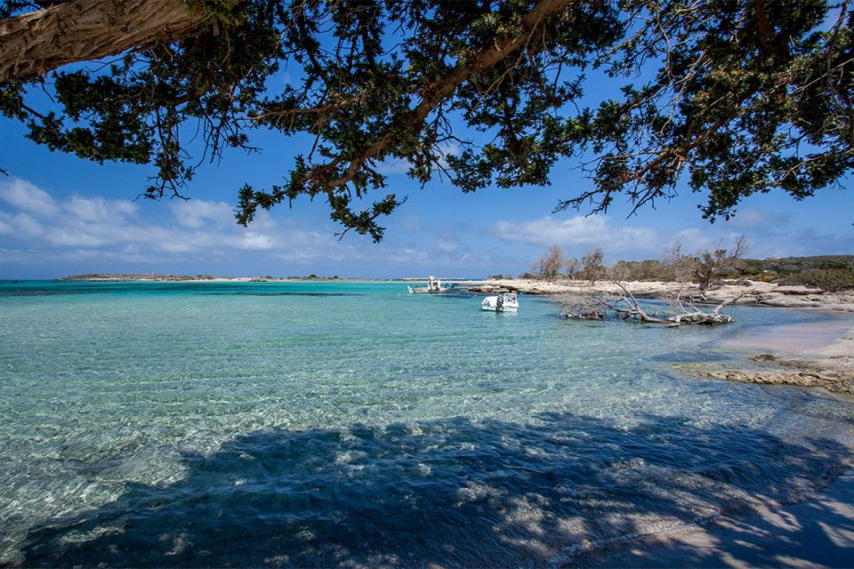 Chania: Elafonisi and Milia Mountain With Loungers and Lunch - Customer Feedback