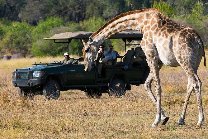 Chobe Full Day Trip From Victoria Falls - Customer Reviews and Ratings