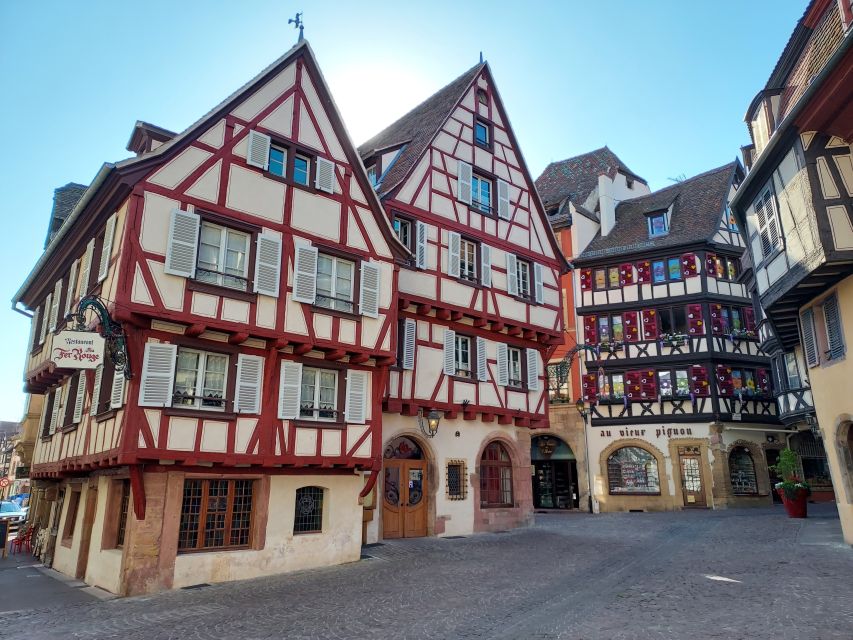 Colmar: 2-Hour Segway Tour - Wine Tasting Option