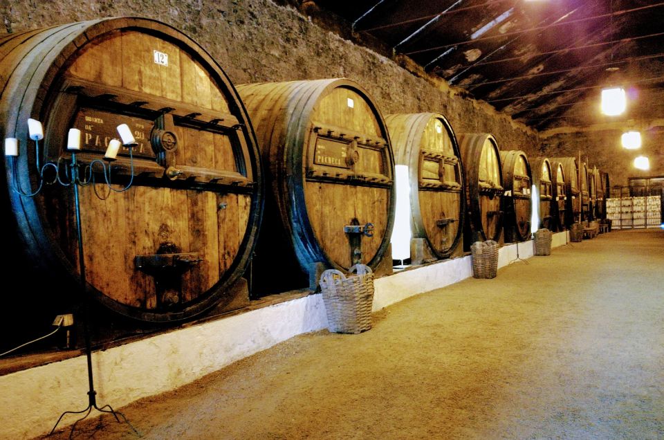 Complete Douro Valley Tour - Visit to 3 Wineries & Lunch - Small-Group Experience