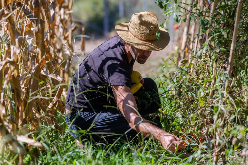 Corfu: Organic Olive Oil Farm Tour With Transfer and Tasting - Corfu Culture and Tradition