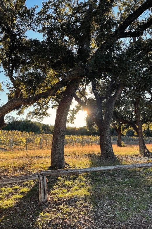 Cost-Effective Texas Hill Country Wine and Brewery Tour - Craft Your Own Adventure