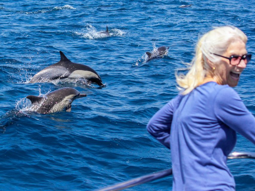 Dana Point Dolphin & Whale Watching With Underwater Viewing - Operating in All Conditions