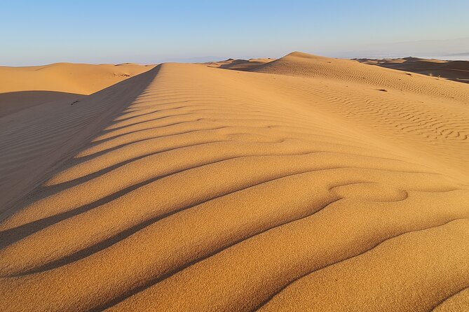 Day Tour to Wahiba Sands Desert and Wadi Bani Khalid (Desert Safari) - Additional Information