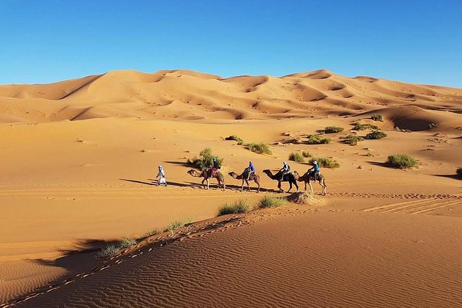 Desert Tour 3 Days From Fes to Marrakech - Accessibility Information