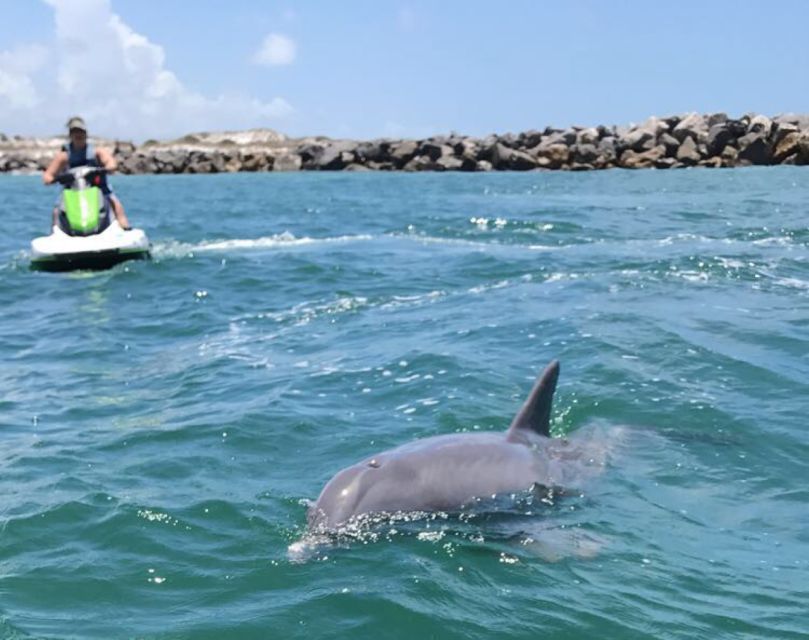 Destin: Crab Island Dolphin Watching Jet Ski Tour - Frequently Asked Questions