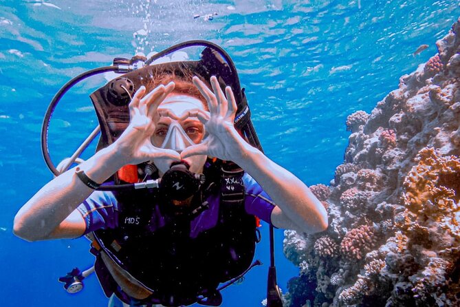 Discover Scuba Diving Sharm El Sheikh - Highlights of the Dive