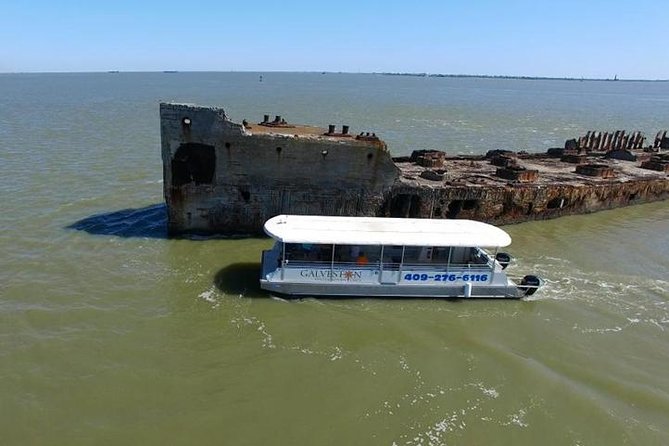 Dolphin Sightseeing Tour With Guide - Local Marine Life