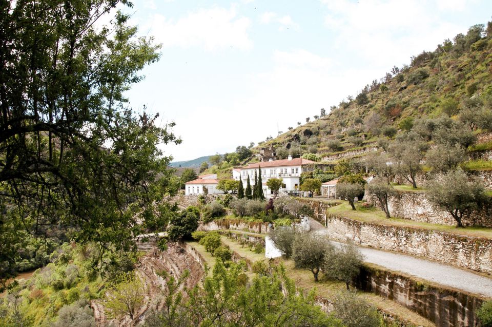 Douro Valley: Small-Group Wine Tasting Tour, Lunch & Boat - Frequently Asked Questions