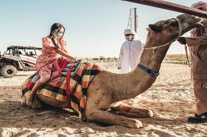 Dubai Royal Camel Race With Prime Seats & Short Camel Ride - Guest Experience and Feedback