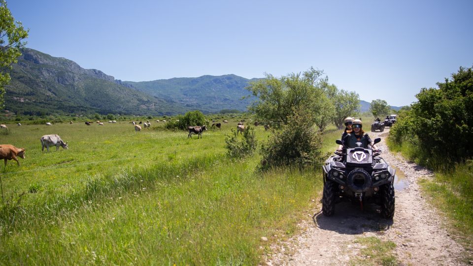 Dubrovnik: Kojan Koral ATV Quad Safari - Customer Feedback